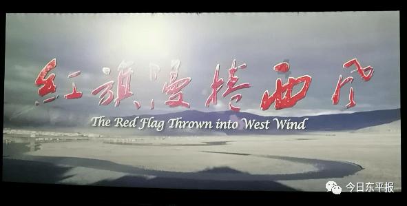 舒尼奇刚离开河南队,主帅就敲定津门虎核心入替,未来有望挑大梁